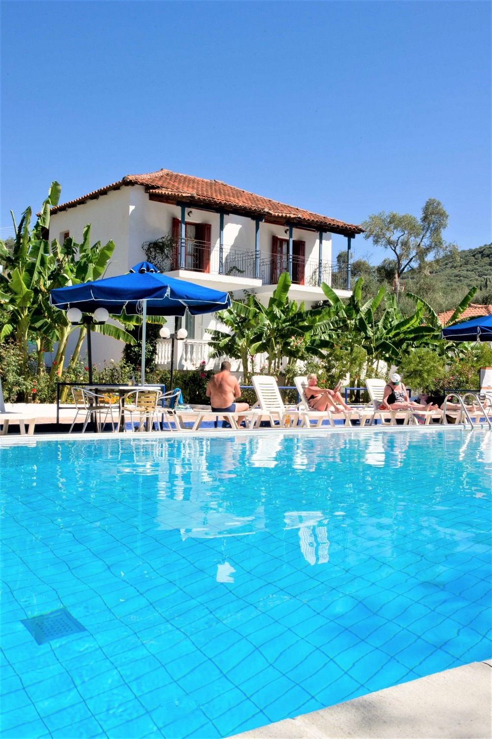 Vila Olive Tree