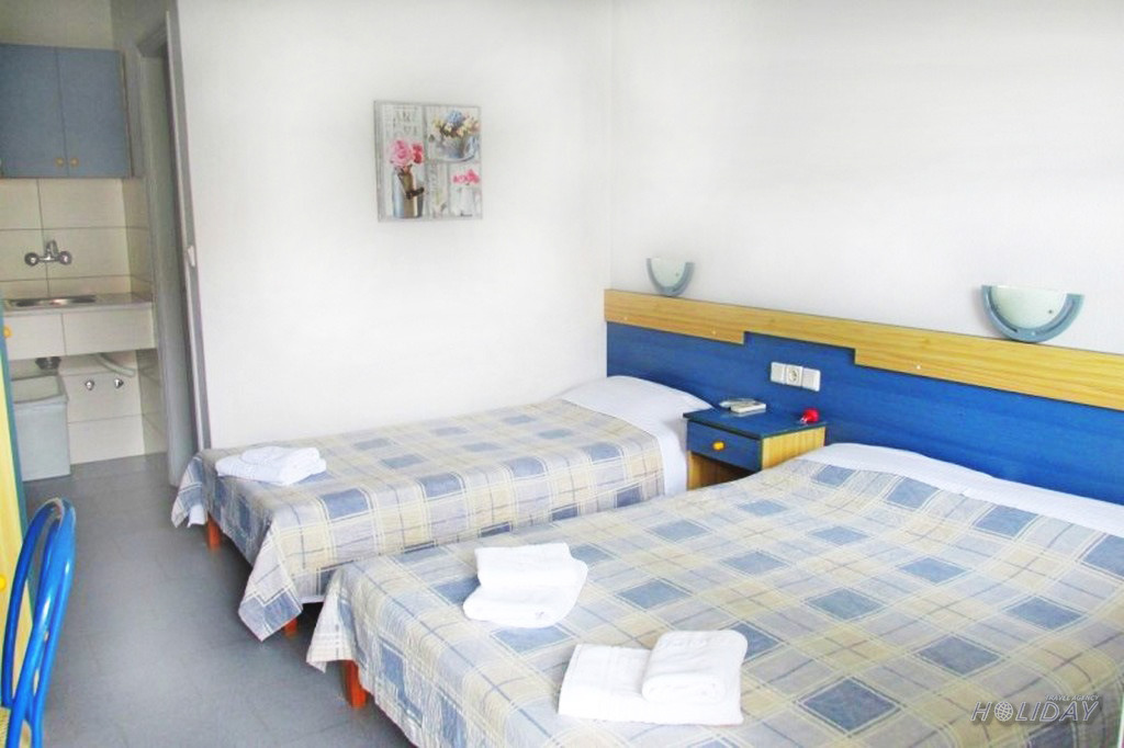 Vila Alexander Inn