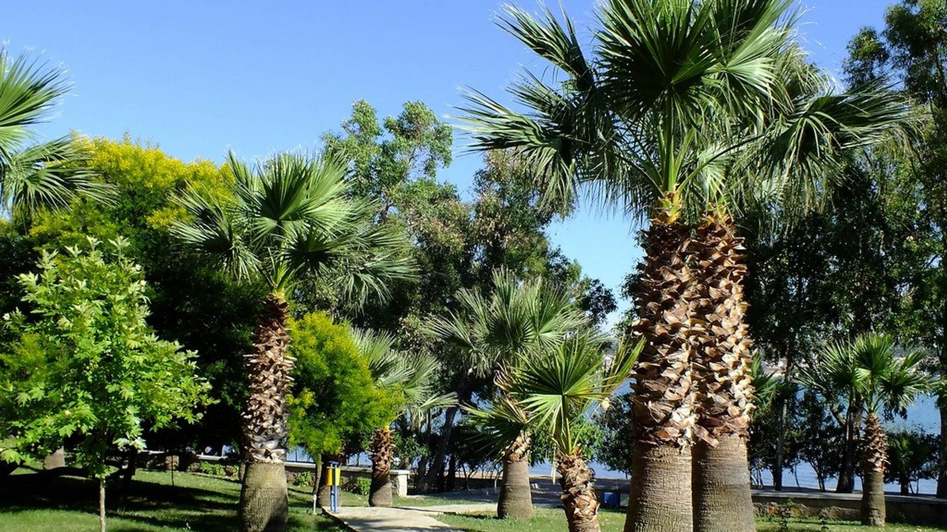 Hotel Halic Park
