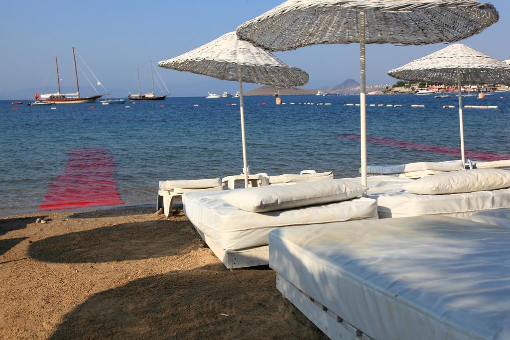 Hotel Okaliptus