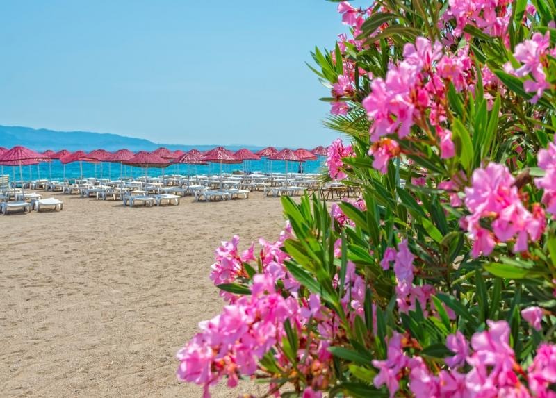 Bendis Beach