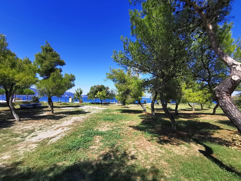 Kolizas