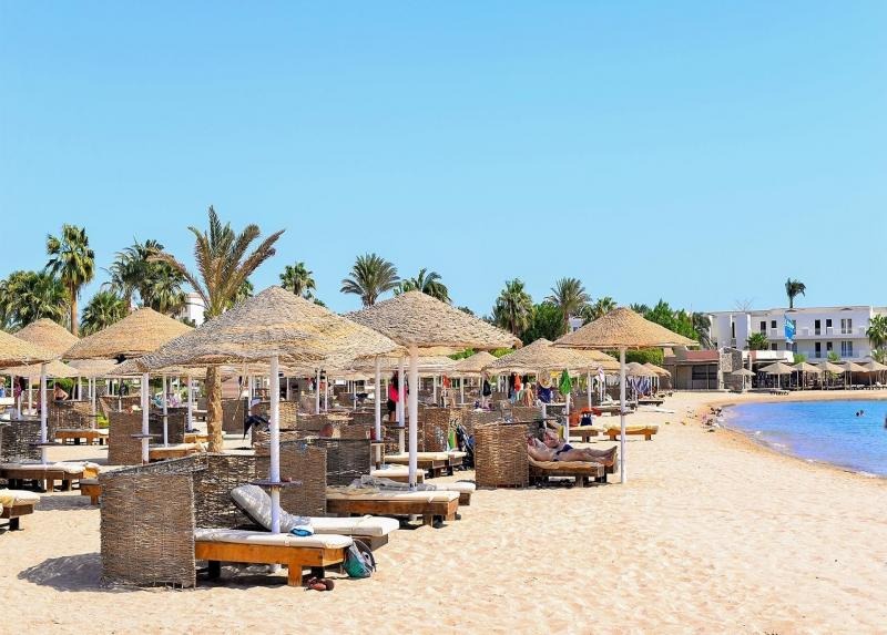Paradise Abu Soma