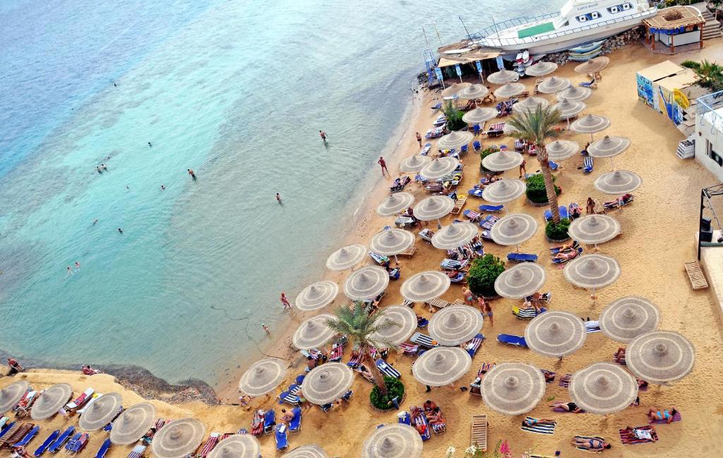 King Tut Aqua Park Beach Resort