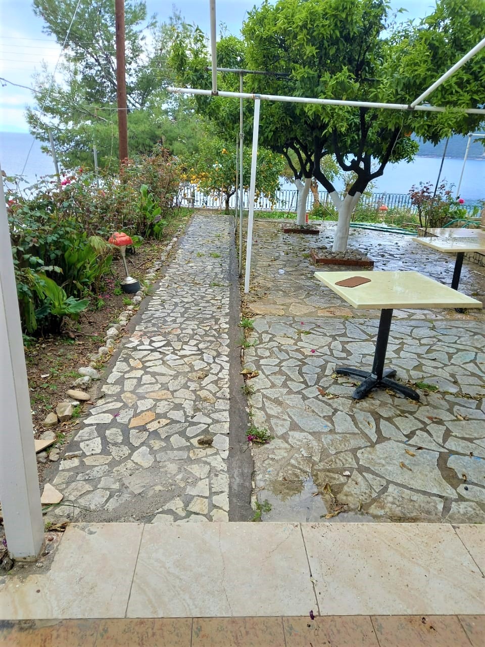 Katerina Studios