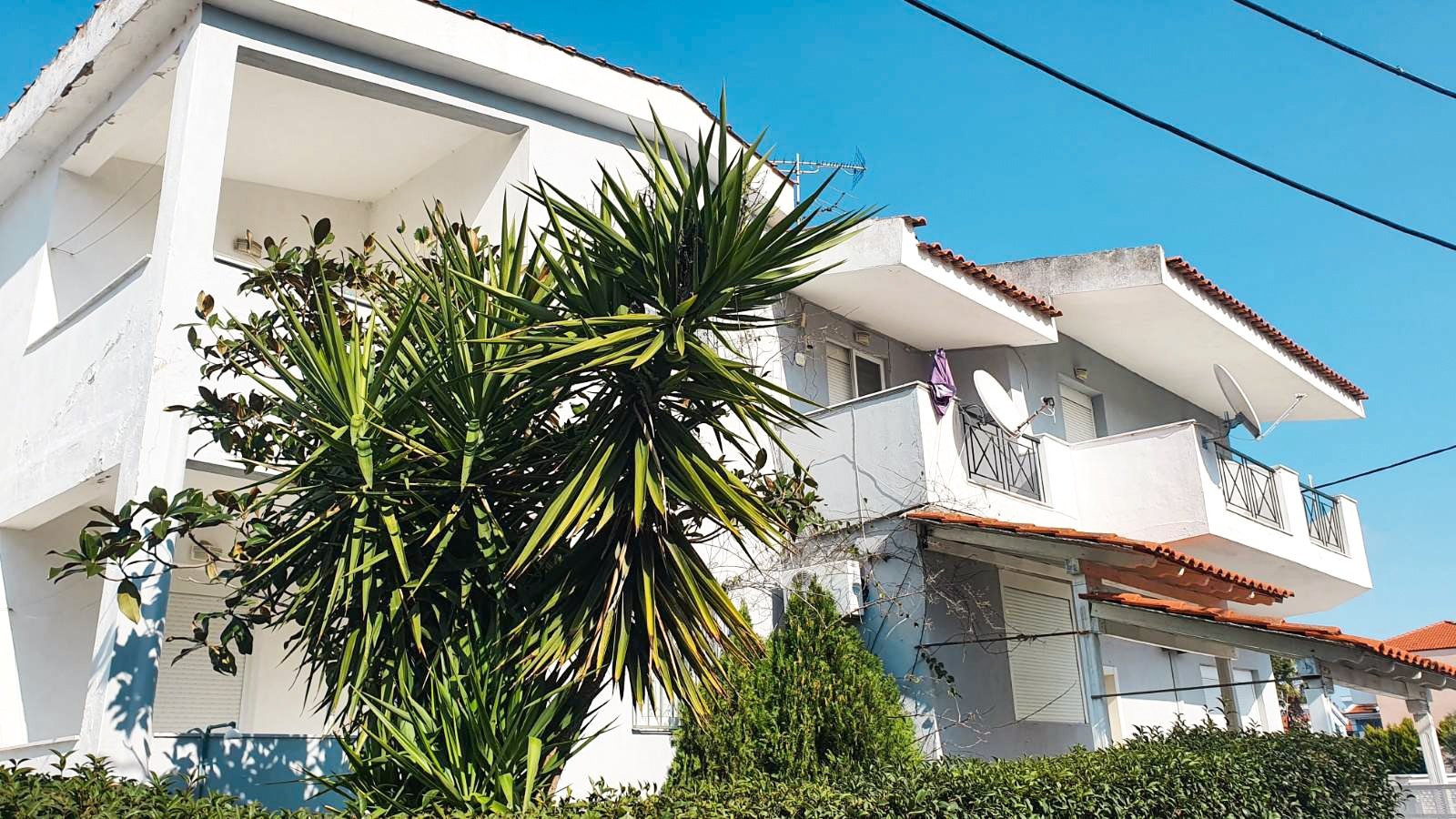Vila Dimitris Flowers