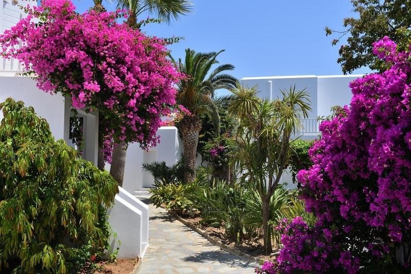 Astir Of Paros Hotel