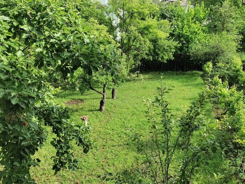 Vila Breza