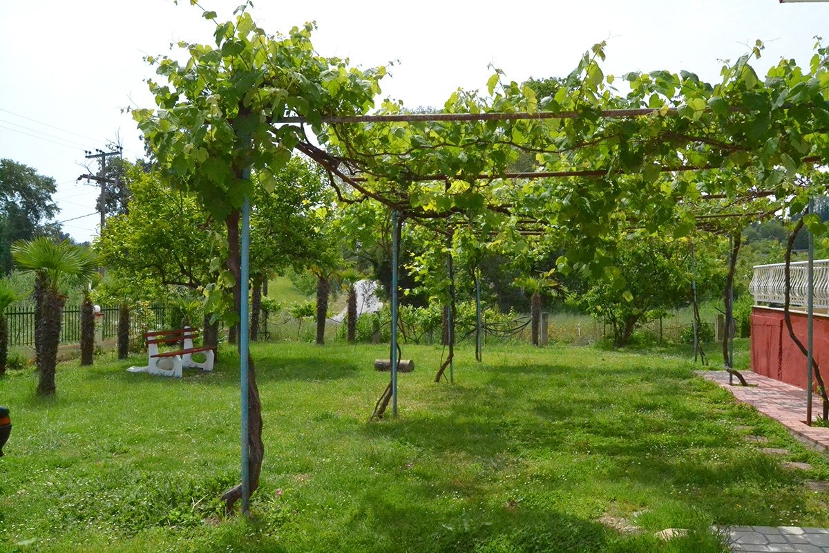 VIla Elektra