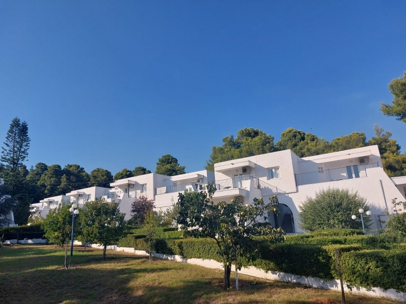 Muses Hotel