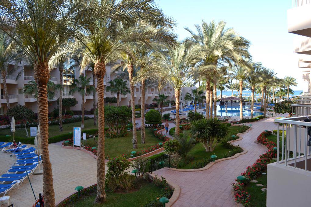 Sea Star Beau Rivage