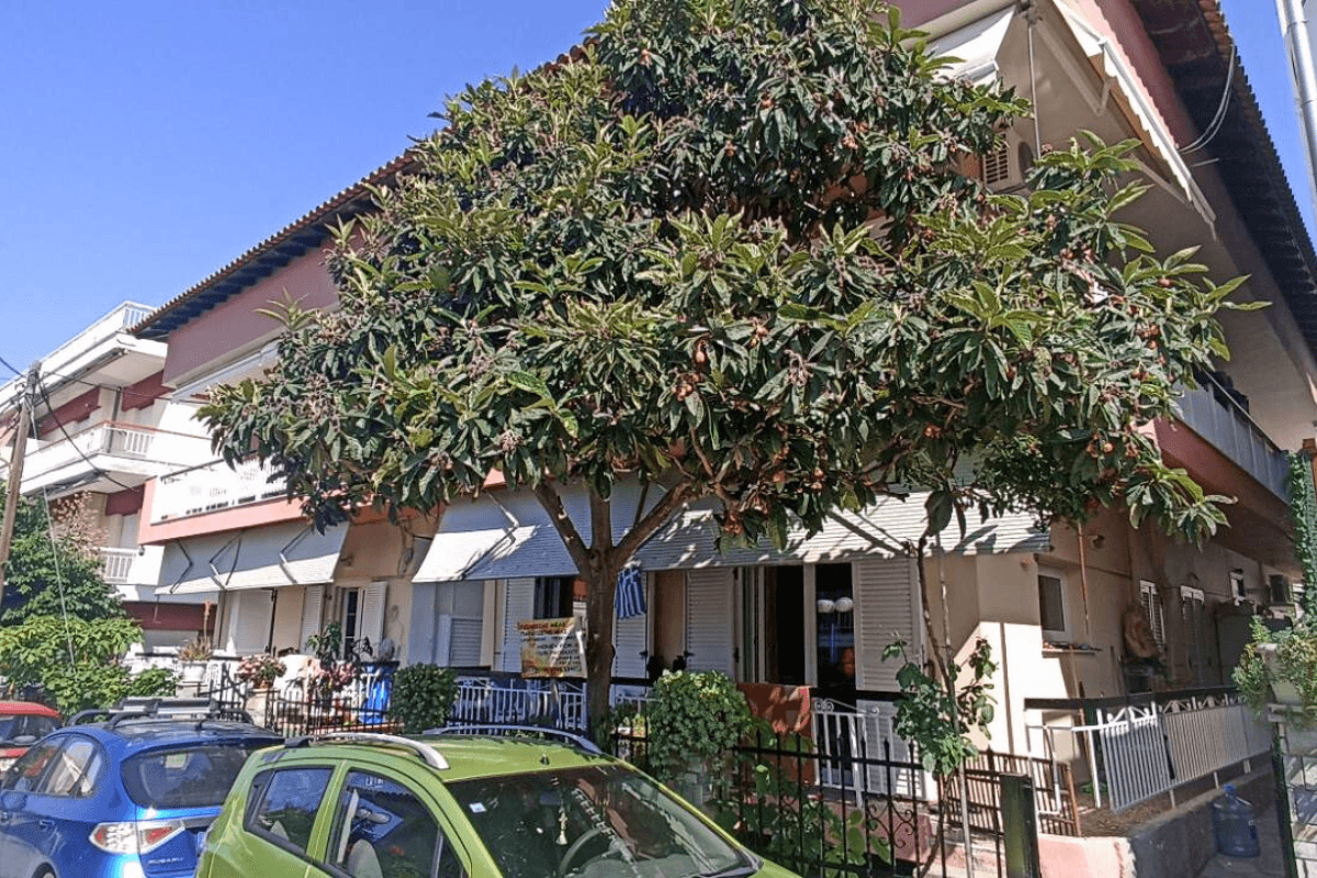 Vila Katarina