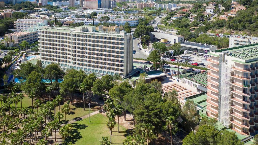 Sol Palmanova